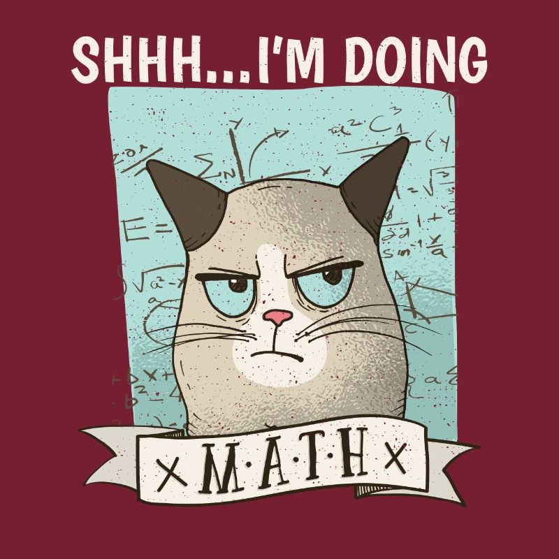Shhh... I ́m doing Math Cat