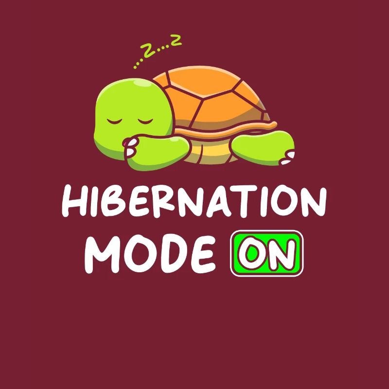 Mode hibernation An avec Turtle