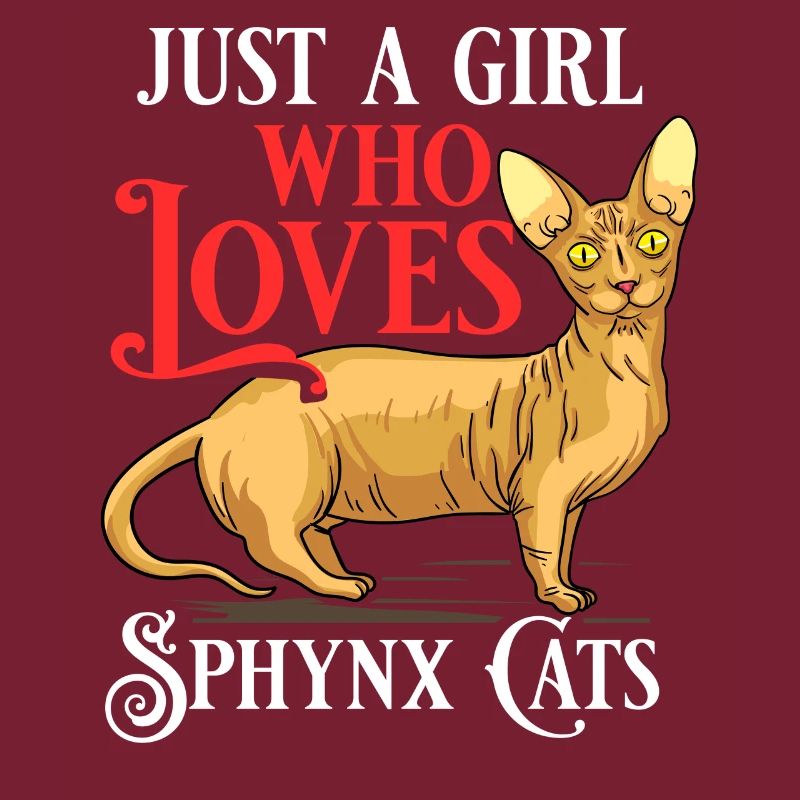 Sphynx Chat Sphinx Chaton sans poils Egypte