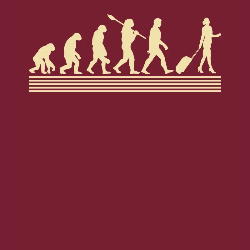 Stewardessen-evolution