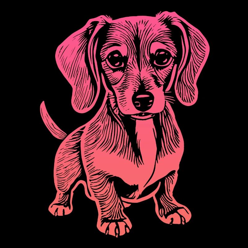 Teckel, mon fidèle compagnon - chiot