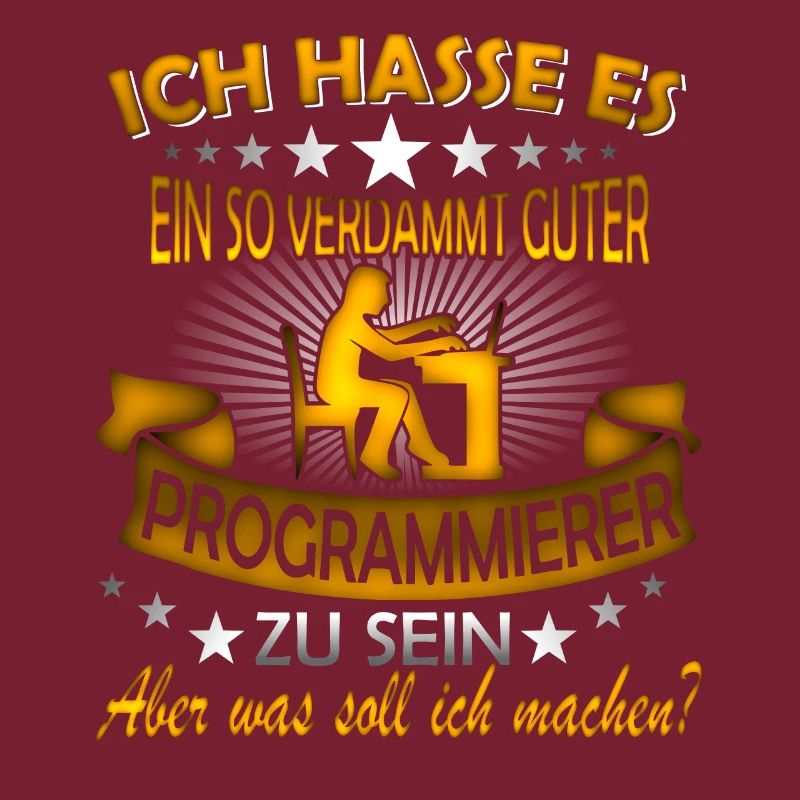 Software Ingenieur Informatiker Programmierer