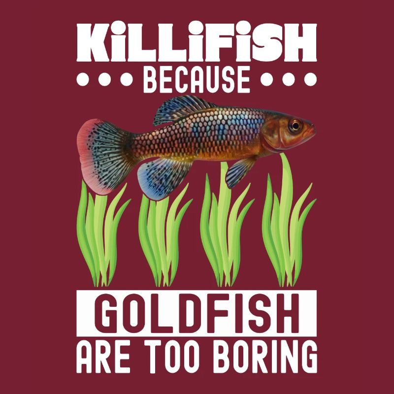 Killifish Quarium Fish