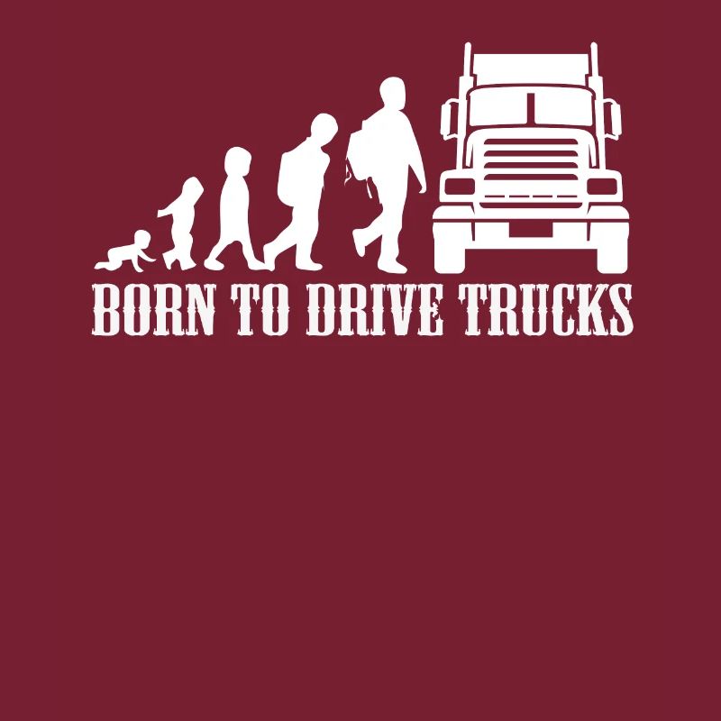 LKW Evolution Trucker Geschenk