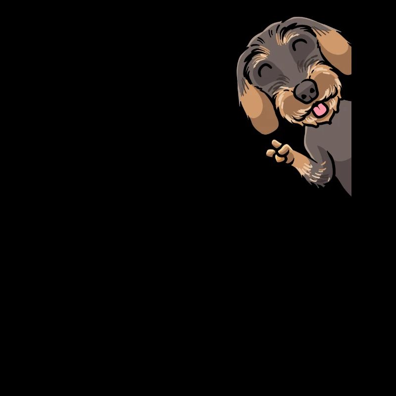 Rough-haired Dachshund Dog