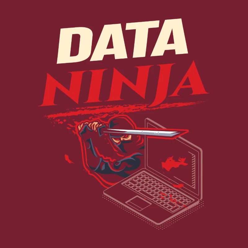 Data Ninja computer programming coder