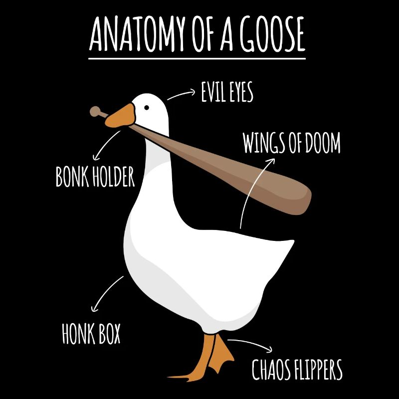 Anatomie d’un mème d’oie