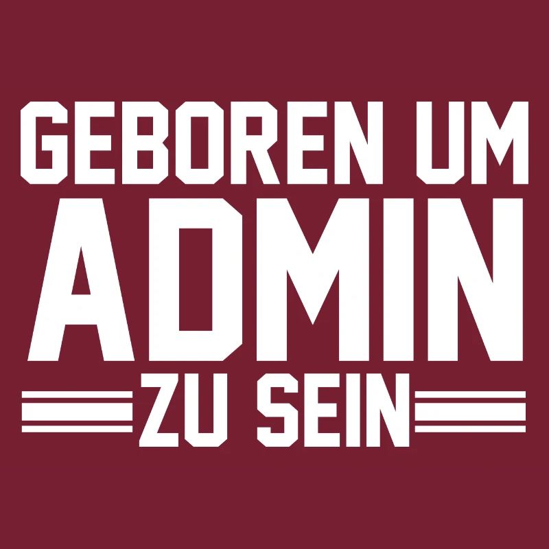 Administrator Informatiker Programmierer Admin