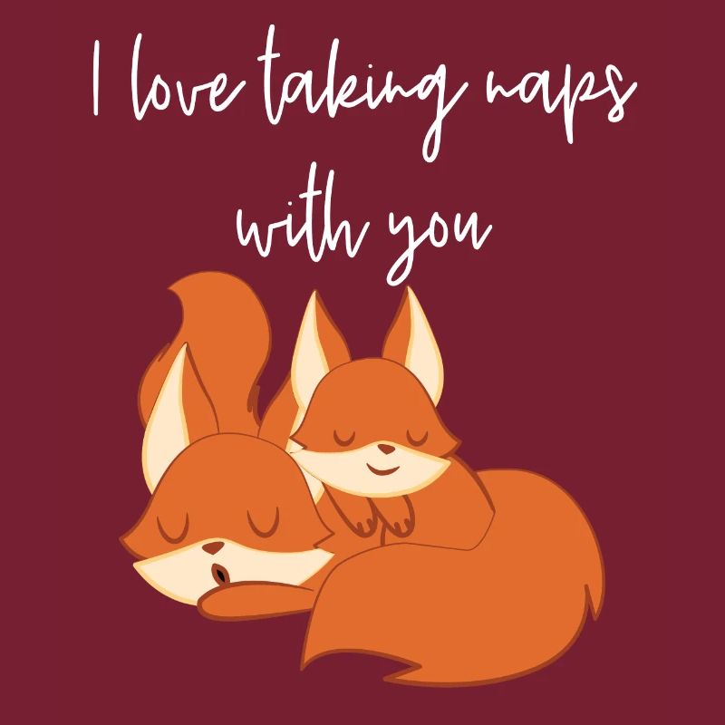 Fox - Cute Fox - Fox Lover - La sieste