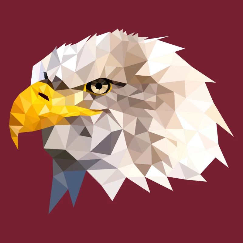 Bald Eagle Sea Eagle American Eagle Eagle