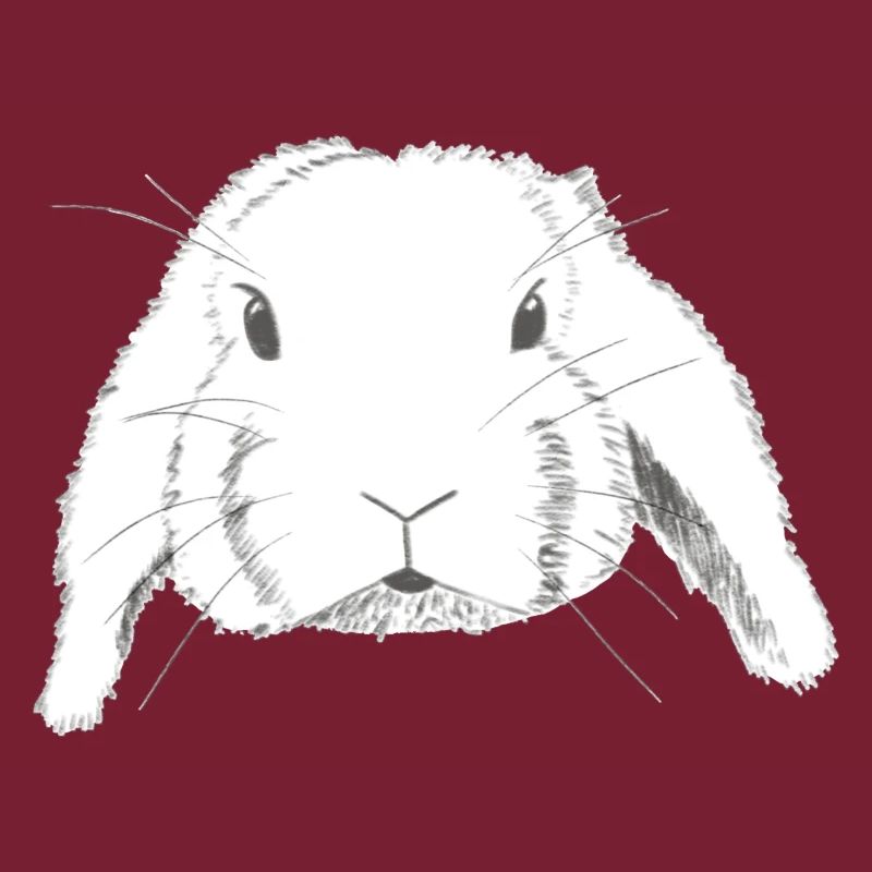 Aries Rabbit Drawing