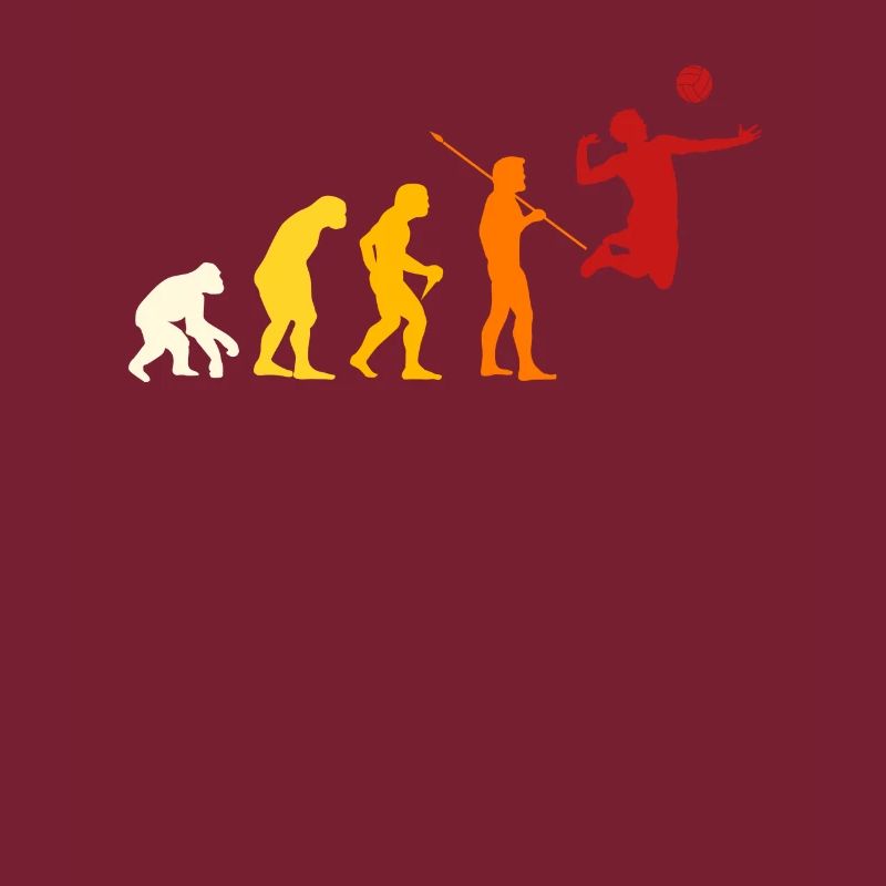 Volleyball Evolution Design