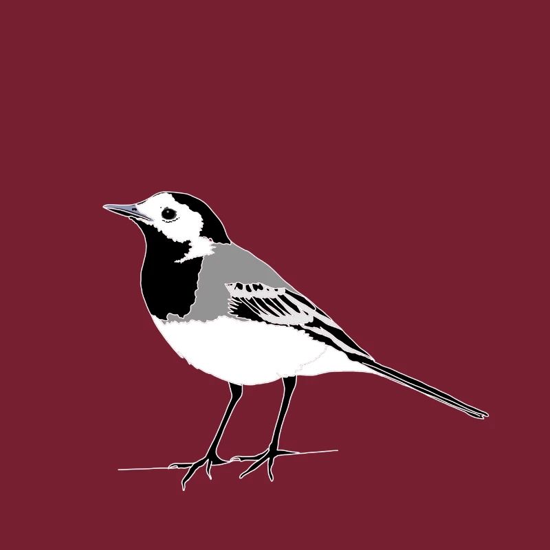 Wagtail