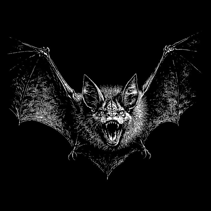 Fledermaus
