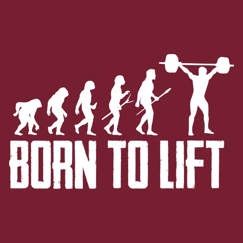 Fitness Lifting Evolution