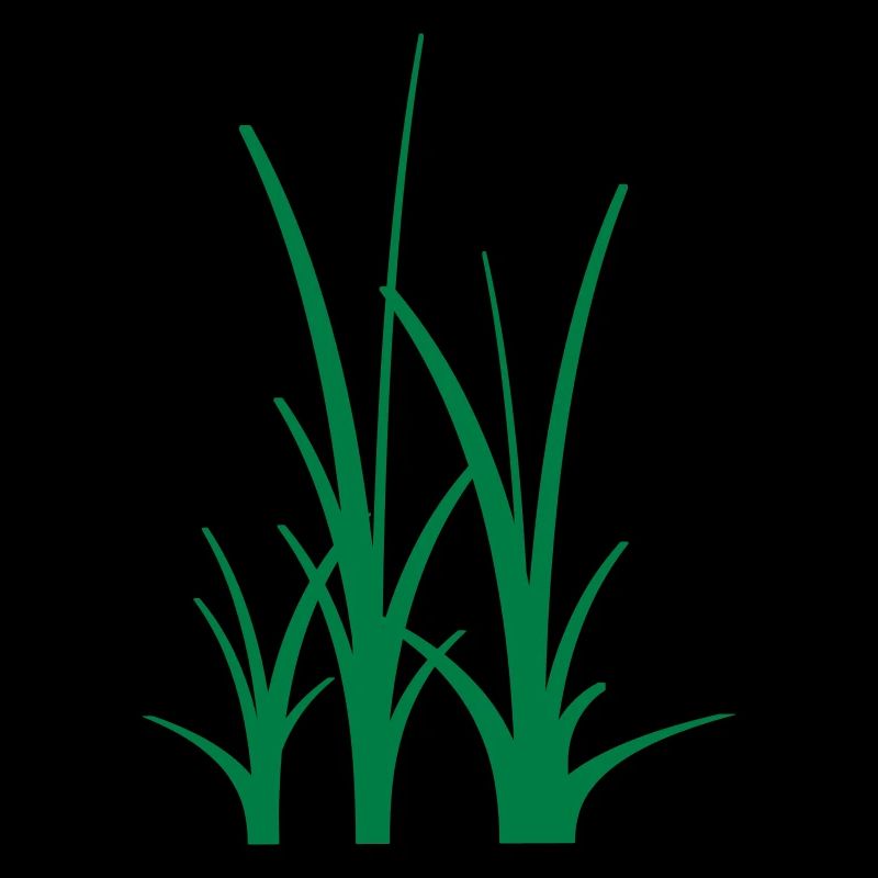 Binary Gras