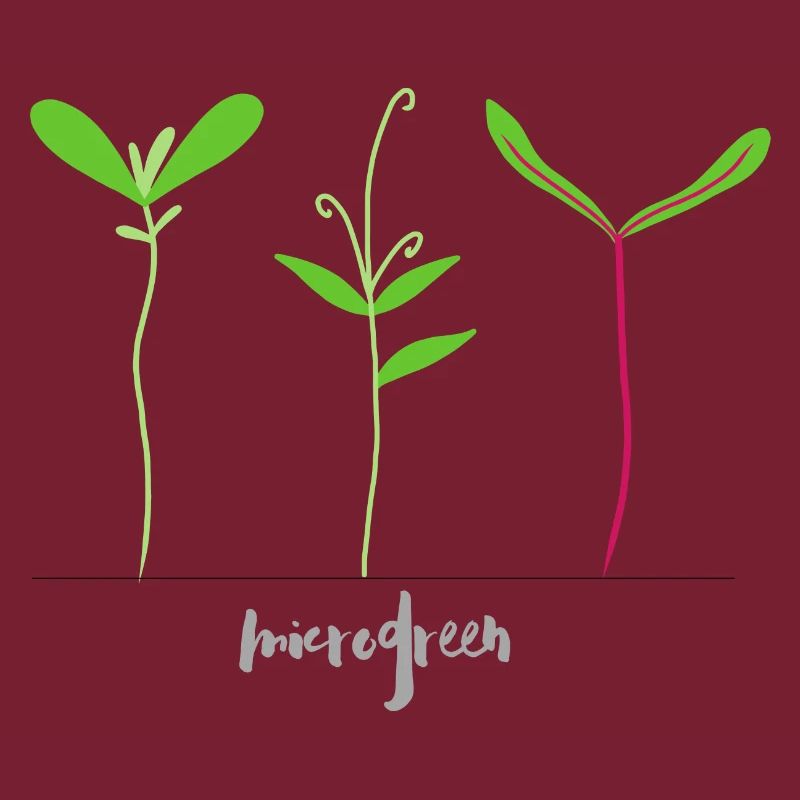 Micro pousses - Microgreen