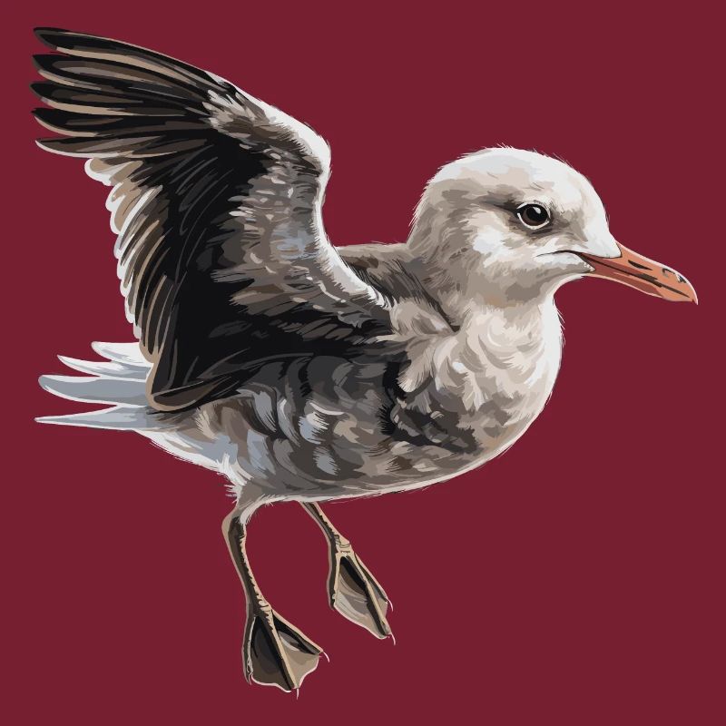 Bébé mouette Seabird