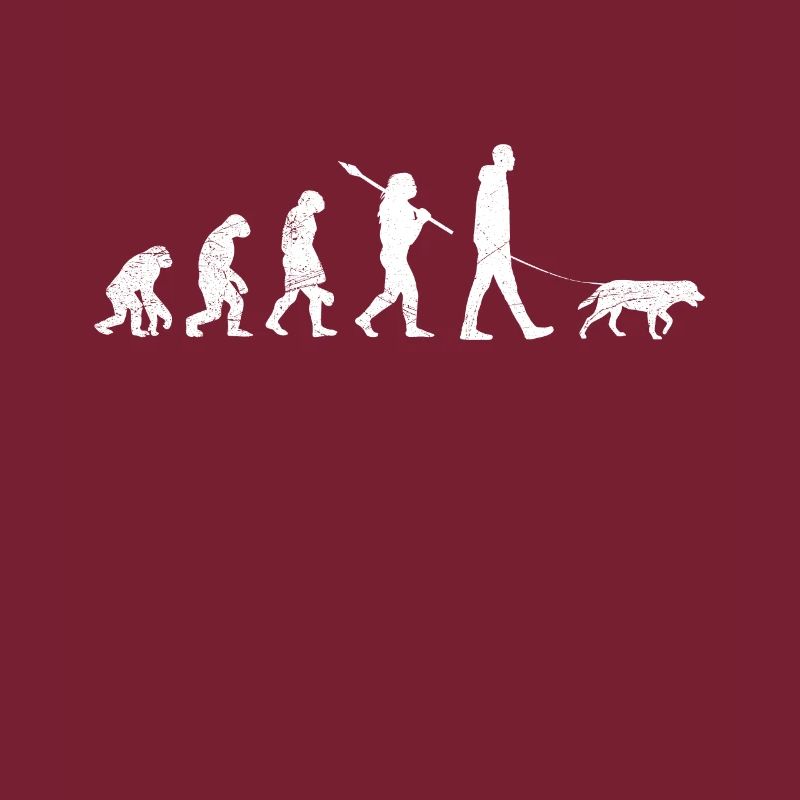 Labrador EVOLUTION Labrador Lover Drôle