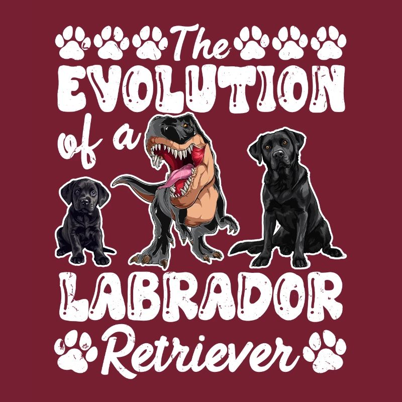 Hundebesitzer DIE EVOLUTION EINES LABRADOR