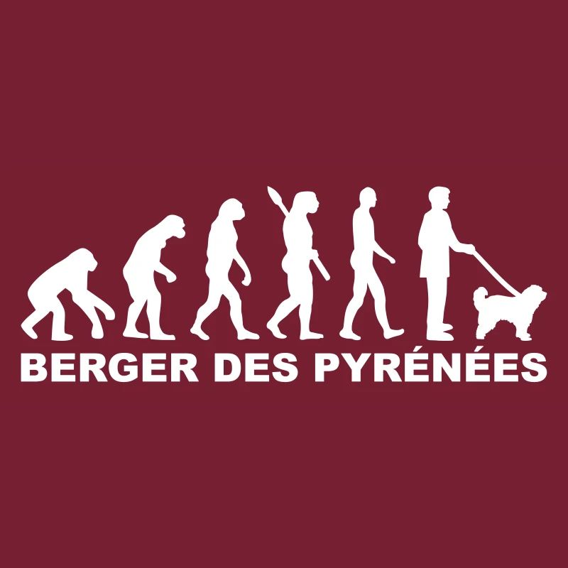 Berger des Pyrénées