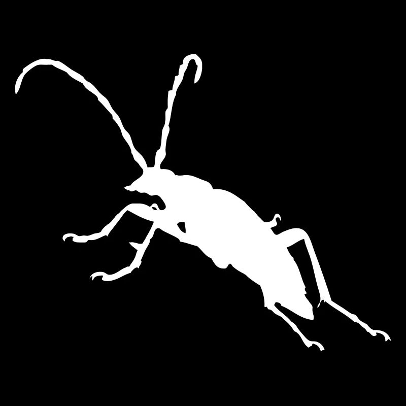 Käfer Bug