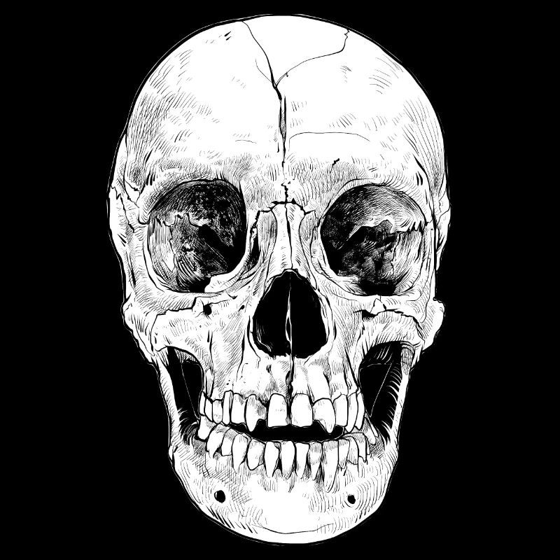 Skull skull grumpy bones head