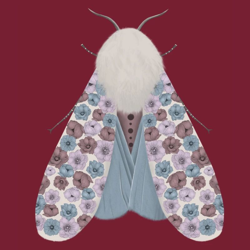 Moth