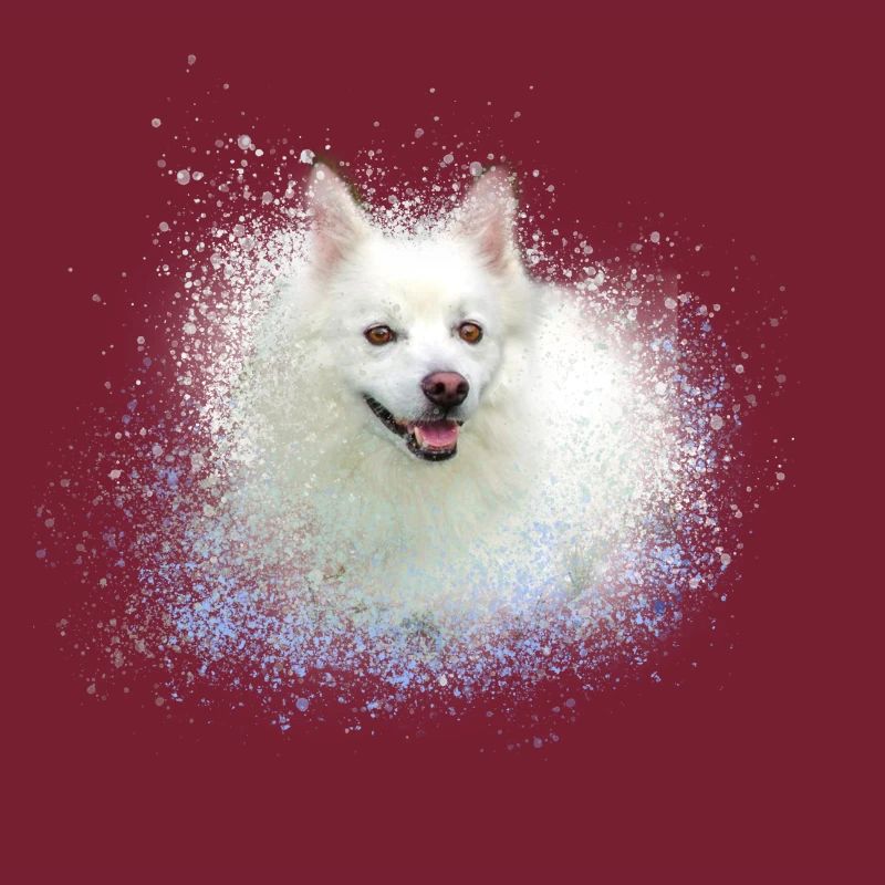 spitz,hund,graffiti,malerei,zwergpsitz