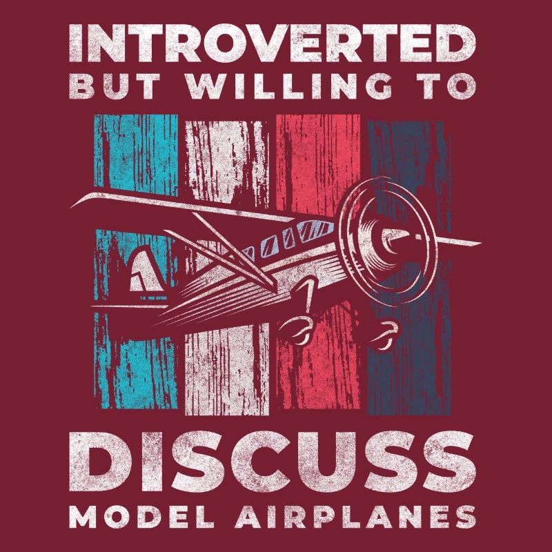 Model Airplane Model Flying Machine Flight