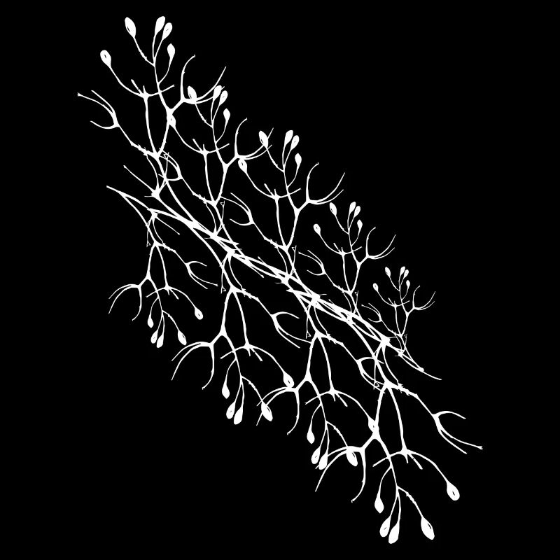 branches, branches, patterns, abstract, white, filigree,