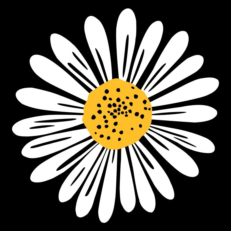 Daisy