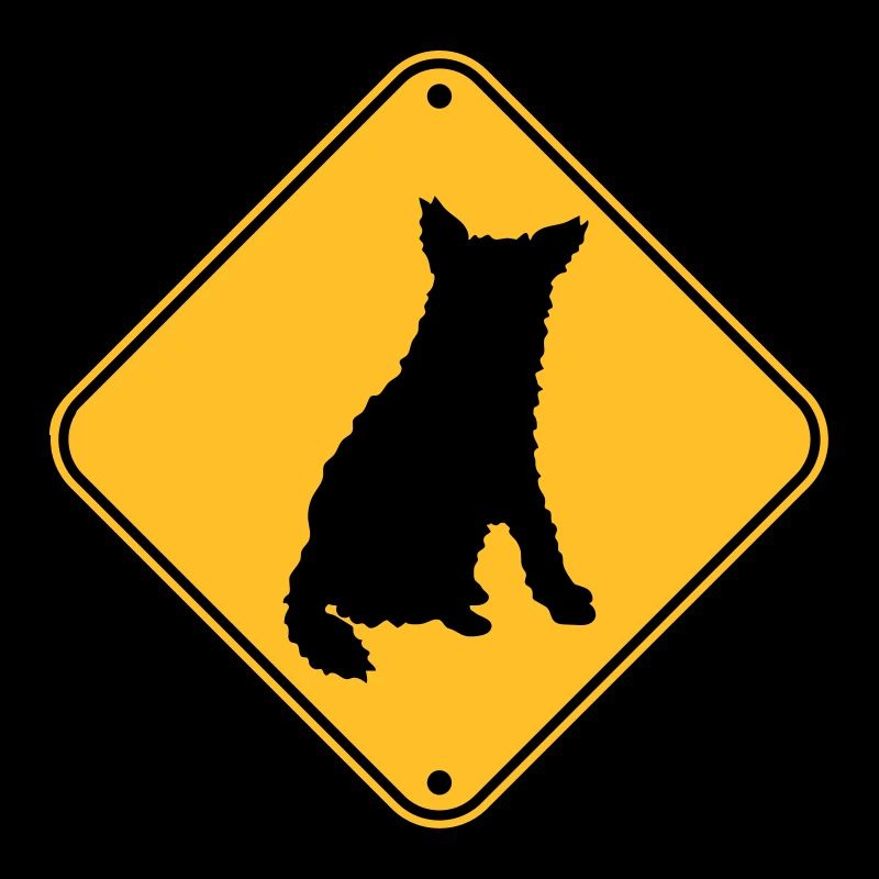 Attention chien mordant