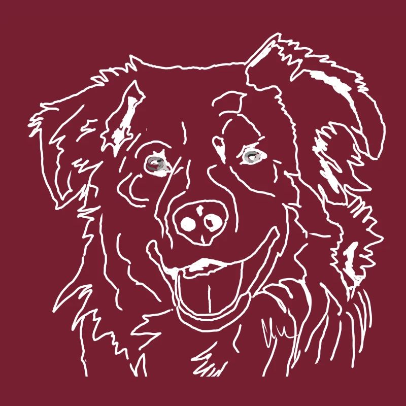 Australian Shepherd