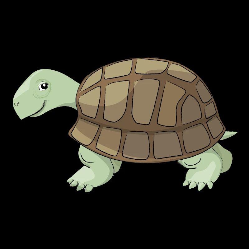M. Slow