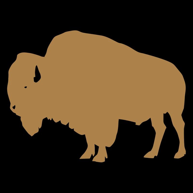 Bison