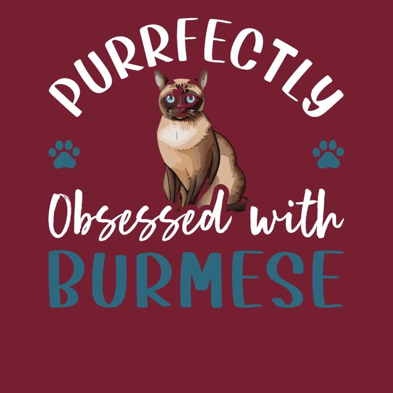 Purrfectly Obsessed With Burmese