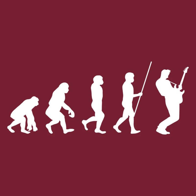 Gitarrist Band Evolution