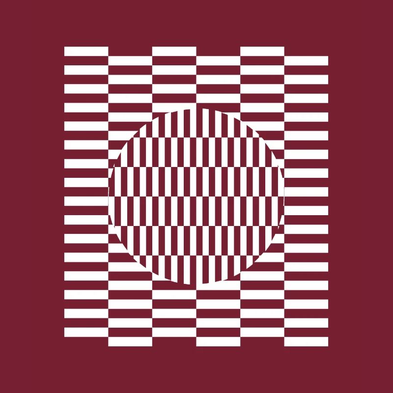 Visual grid perception illusion imagination