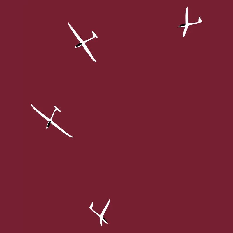 Glider Gliding Gliding Glider