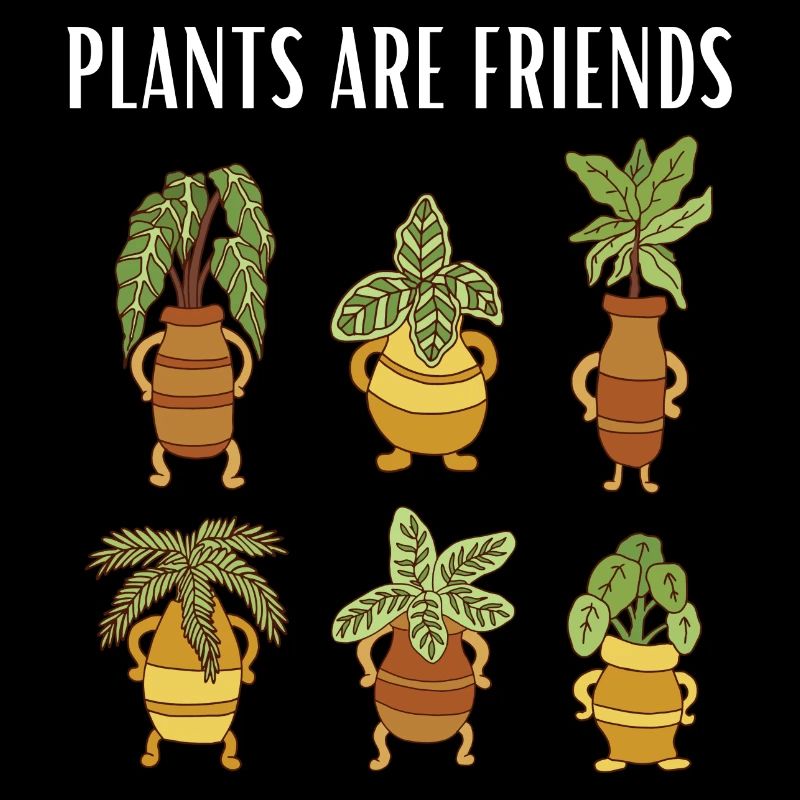 plant