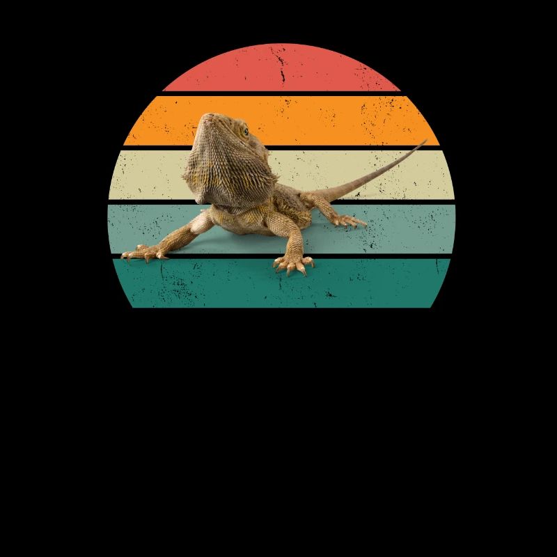 Lizard Lizards Cold-blooded scales Reptiles