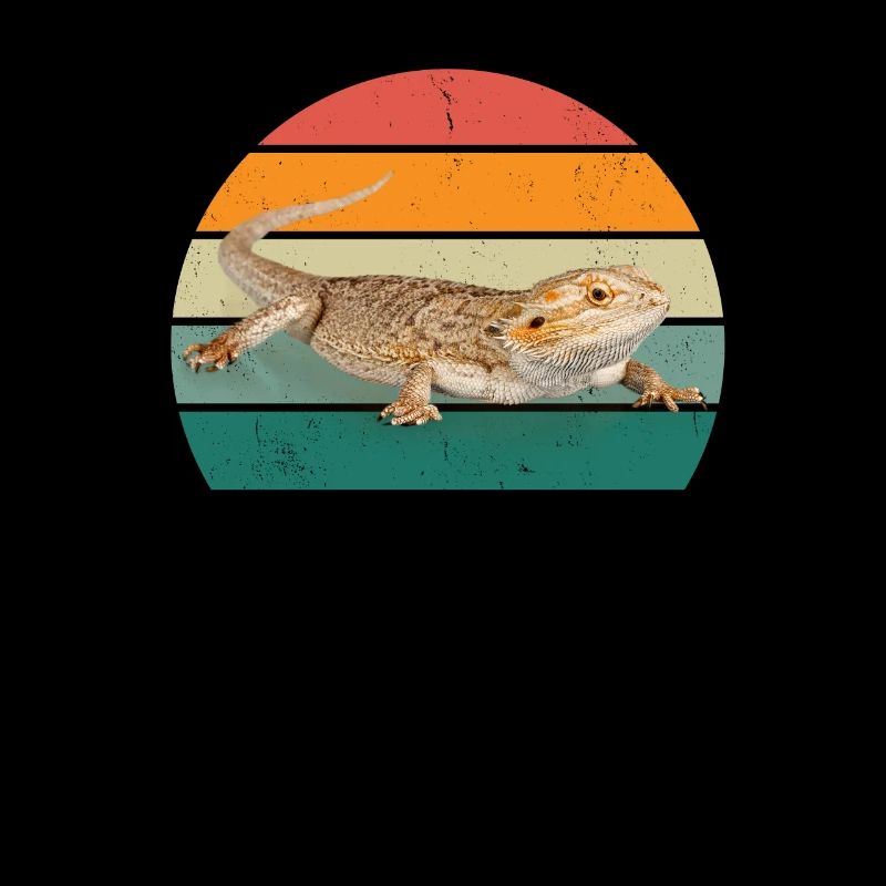Lizard Lizards Cold-blooded scales Reptiles