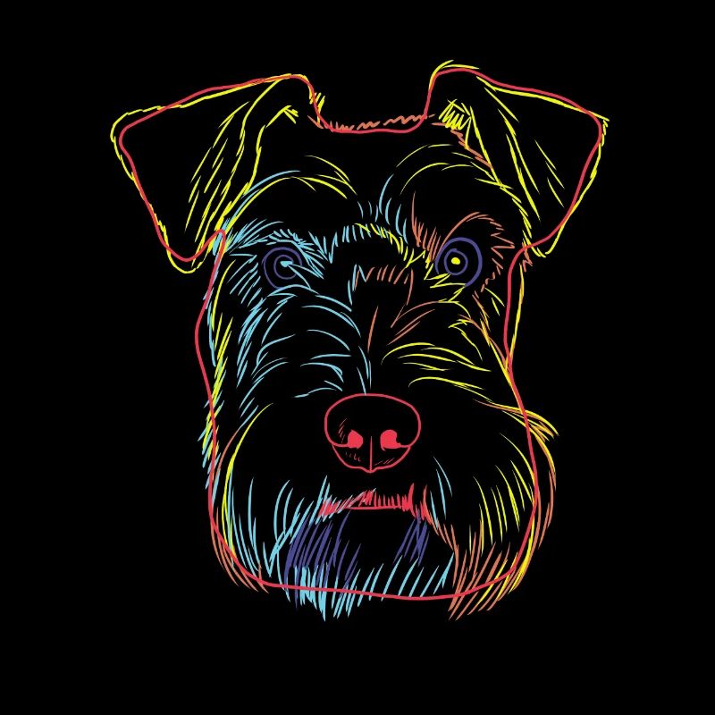 Bunte Schnauzer Hund