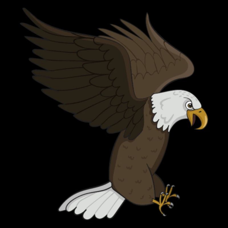 Aigle à tête blanche