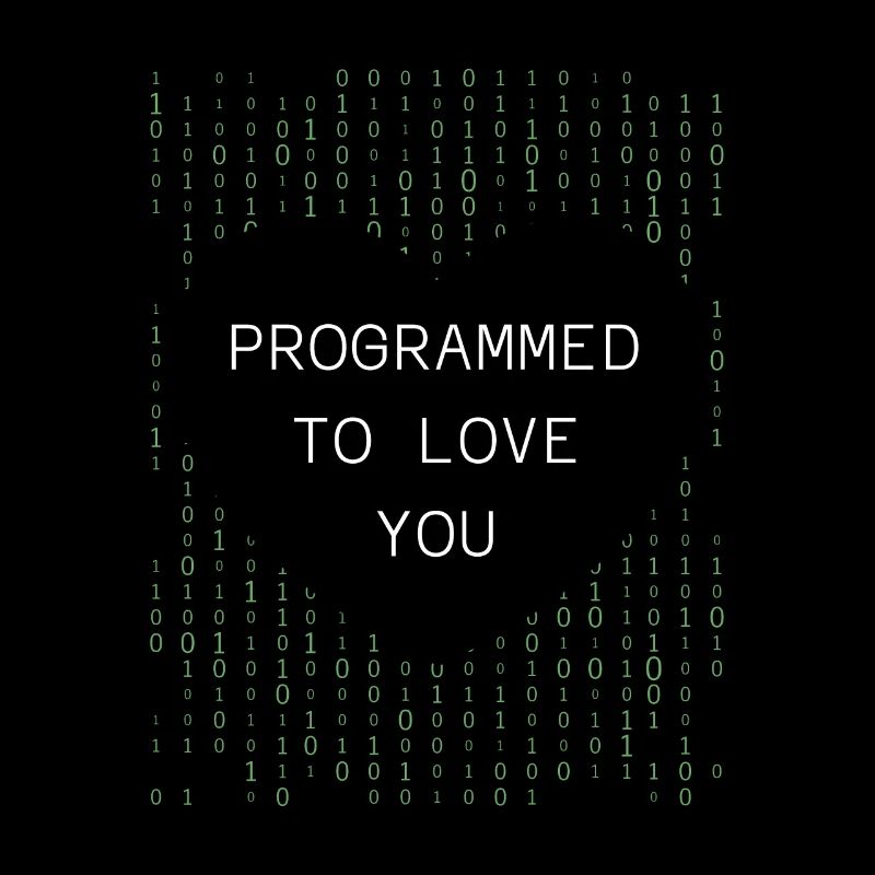 Developer Coder Programmer