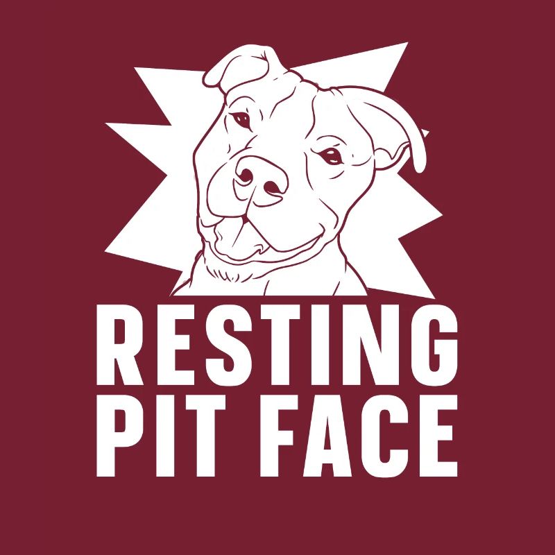 Pitbull Pitbull Interdiction Pitbull Repos Pit Face