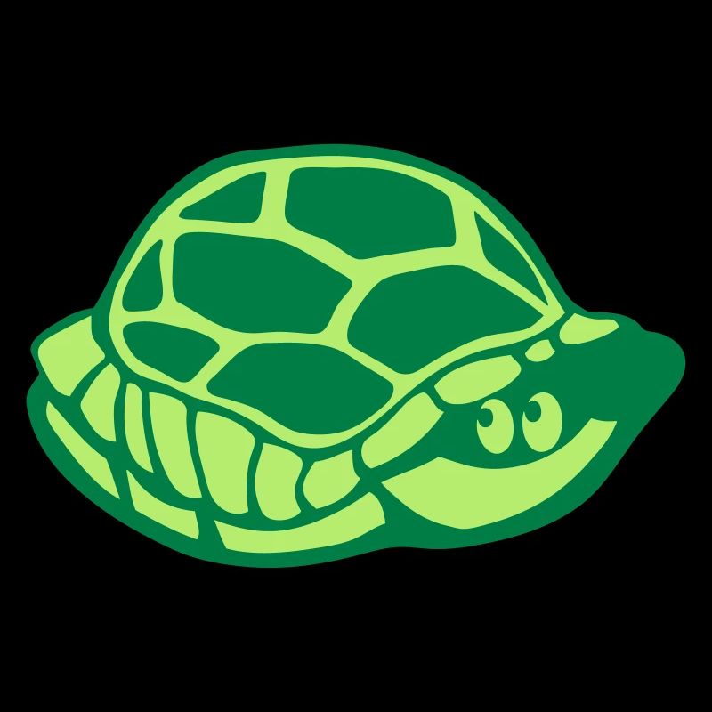 Animal carapace turtle 2805