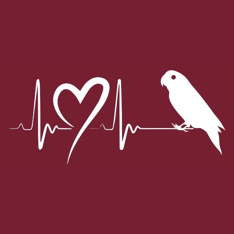 Oiseau perruche perruche perruche