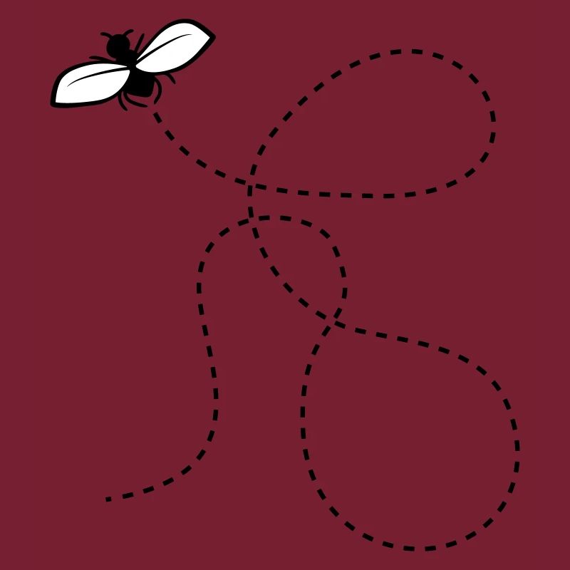 Dashed Line Fly